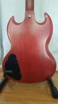 INLAYS EBONY
