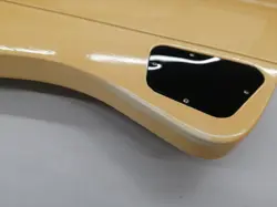 [GIBSON] FIREBIRD