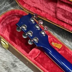 BLUEBERRY BURST NO.DG850