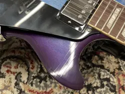 BLUEBERRY BURST #234440101