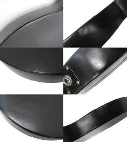 EBONY 2009 ELECTRIC