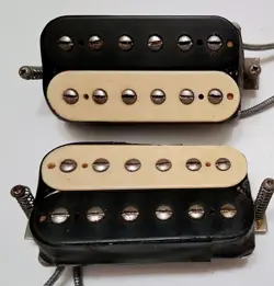 DUAL LEAD ZEBRA