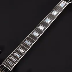 2-PICKUP EBONY FINGERBOARD
