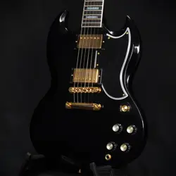 2-PICKUP W/EBONY GLOSS