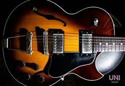GIBSON ES-446 SUNBURST *GH934