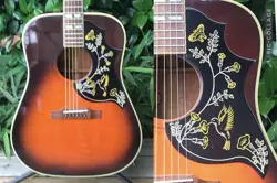 HUMMINGBIRD MODEL