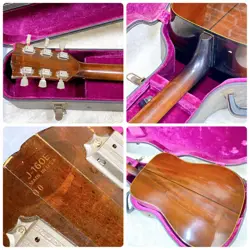 GIBSON J-160E