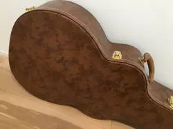 BROWN LIFTTON CASE