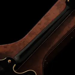 1959 ES-355 ULTRA