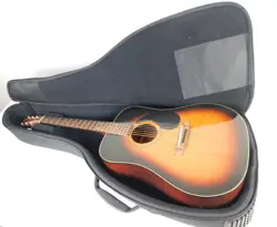 +GIG CASE