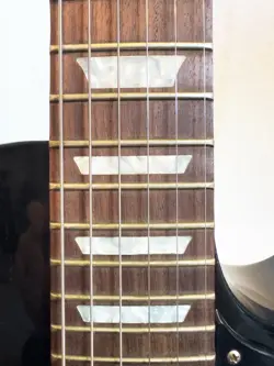 EBONY WITH HARDSHELL