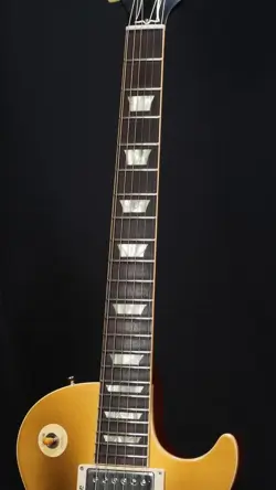PICKGUARD VOS DOUBLE