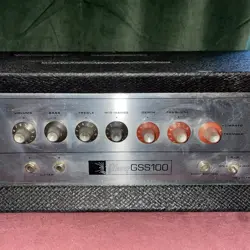 100 WATT
