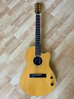 STEEL STRING