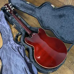 LEE RITENOUR ES-335