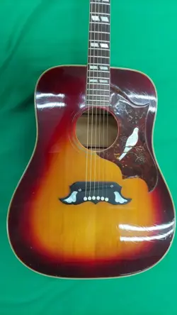 ACOUSTIC GUITAR DOVE