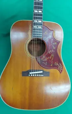 FOLK GUITAR HUMMING
