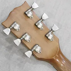 THE PAUL STANDARD