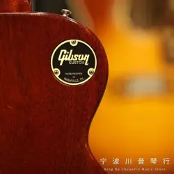 GOLD GUITAR TOGGLE SWITCH BACK PLATE COVER FOR GIBSON LP LES PAUL GUITAR PARTS