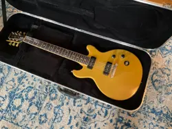 CASE. P-90 PICKUPS.