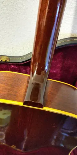 HUMMINGBIRD 1969