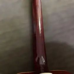 GIBSON DOVE 1969