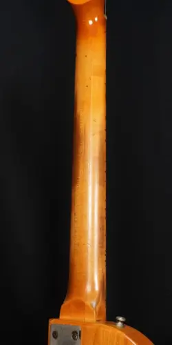 S-1 NATURAL
