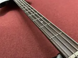 BASS 2010