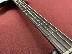 USA THUNDERBIRD BASS