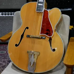 CUSTOM ACOUSTIC USED