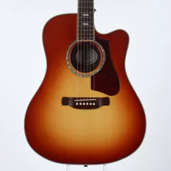 GIBSON USA HUMMINGBIRD SUPREME AG AVANT GARDE ROSEWOOD BURST [SN 10548020]