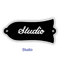 PRINT 'STUDIO' TRUSS
