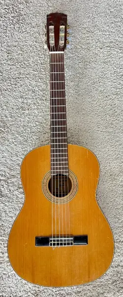 C40 CLASSICAL NYLON