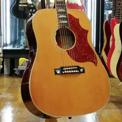 GIBSON THE FIREBIRD ACOUSTIC SAFE DELIVERY FROM JAPAN