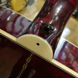 FIREBIRD ACOUSTIC