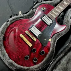 CASE 2004 ELECTRIC