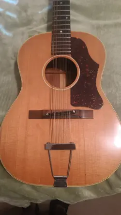 22 STRING ACOUSTIC