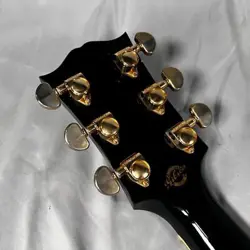 DOVE CUSTOM ABALONE