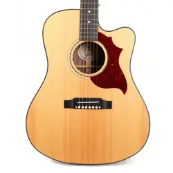 AG ACOUSTIC-ELECTRIC 2019