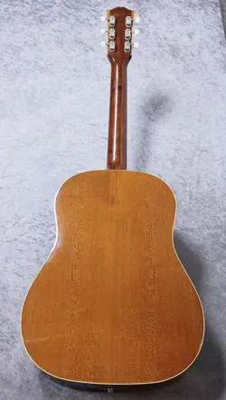 HARD CASE 2006