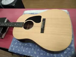 GIBSON G-45