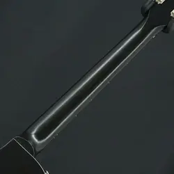 EBONY W/GIG CASE