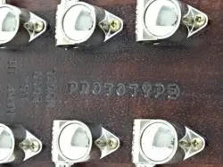 BASS BODY