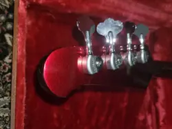 REVERSE THUNDERBIRD BASS
