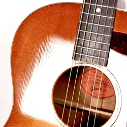 GIBSON B-25 2005