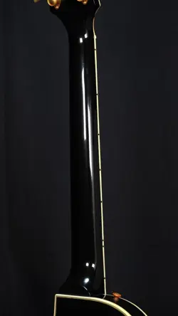 FINGERBOARD EBONY GH
