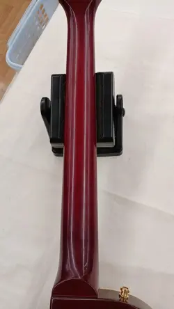 SUNBURST 1995 ELECTRIC