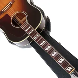 VINTAGE SUNBURST MONTANA