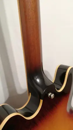 ES-330 HOLLOW BODY