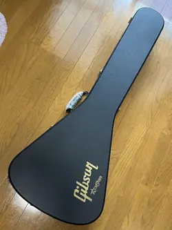 FLYING CUSTOM ELECTRIC